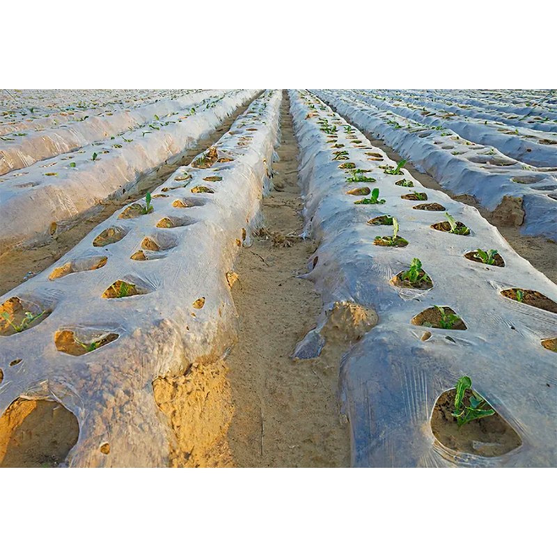 Landbruksplastfilm